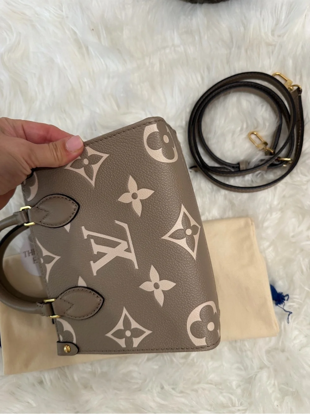 LOUIS VUITTON GIANT FELICIE ON THE GO BB BAG